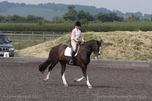 ISIS Dressage Challenge 2008